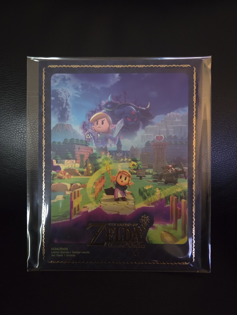 Rare Limited Edition Sealed Art Print from The Legend of Zelda: Echoes of Wisdom